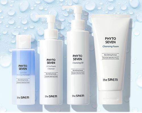 The SAEM