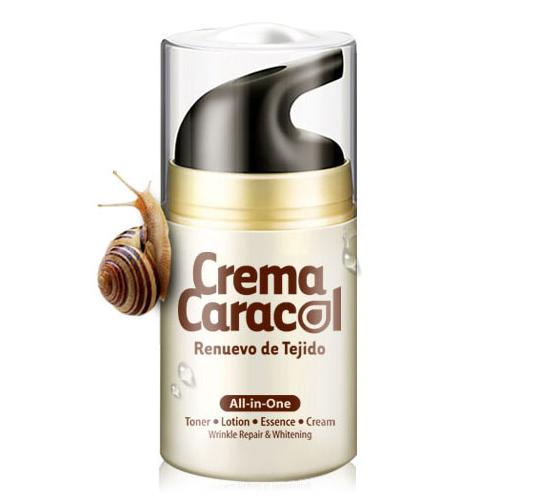crema caracol